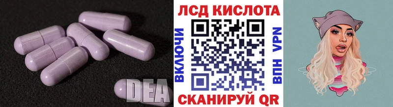 LSD-25 экстази кислота  продажа наркотиков  Луза 