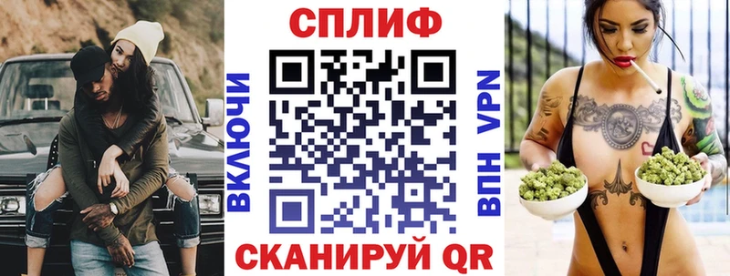 Бошки Шишки планчик  Луза 
